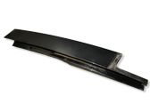 Rear door glass trim molding