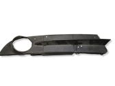 Front fog light trim/grill