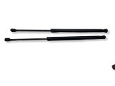 Tailgate/trunk strut/damper