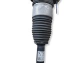 Rear shock absorber/damper