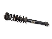 Rear shock absorber with coil spring