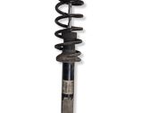 Rear shock absorber with coil spring