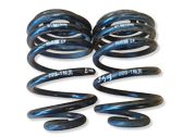 Rear coil spring