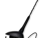 Radion antenni