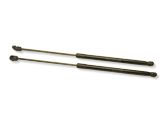 Tailgate/trunk strut/damper