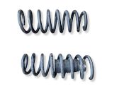 Front coil spring