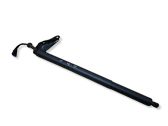 Tailgate/trunk strut/damper