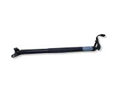 Tailgate/trunk strut/damper