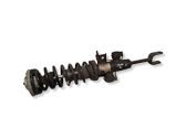 Front shock absorber with coil spring