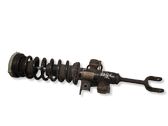 Front shock absorber with coil spring