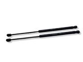 Tailgate/trunk strut/damper