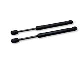 Tailgate/trunk strut/damper