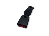 Rear seatbelt buckle