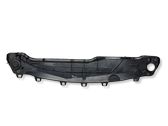 Windshield trim