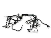 Engine installation wiring loom