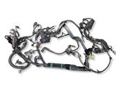 Engine installation wiring loom