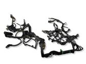 Engine installation wiring loom