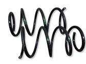 Front coil spring