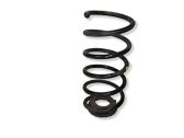 Rear coil spring