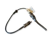 Cableado del sensor ABS delantero