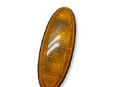 Front fender indicator light