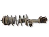 Front shock absorber with coil spring