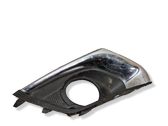 Front fog light trim/grill