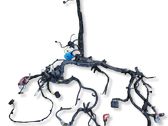 Other wiring loom