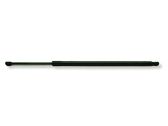Tailgate/trunk strut/damper