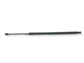 Tailgate/trunk strut/damper