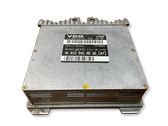 Engine control unit/module ECU