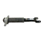 Rear shock absorber/damper