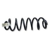 Rear coil spring
