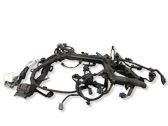 Engine installation wiring loom