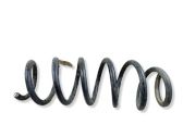 Front coil spring