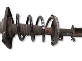 Front shock absorber with coil spring