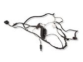 Rear door wiring loom