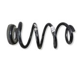 Rear coil spring