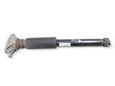Rear shock absorber/damper