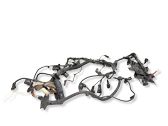 Engine installation wiring loom