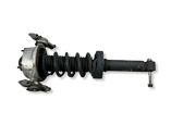 Rear shock absorber with coil spring