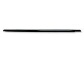 Rear door glass trim molding