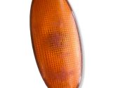 Front fender indicator light