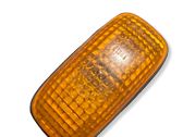 Front fender indicator light