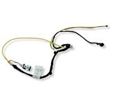 Rear door wiring loom