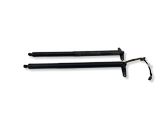 Tailgate/trunk strut/damper