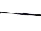 Tailgate/trunk strut/damper