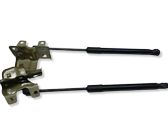 Front bonnet/hood damper/strut