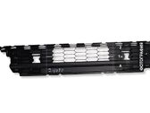 Front bumper lower grill