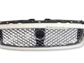 Front bumper lower grill